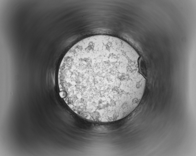 X0000093410062200711091406