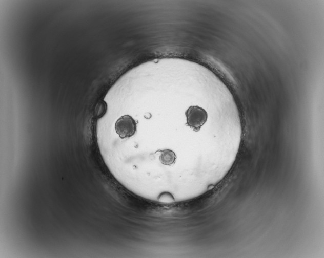 X0000093410065200711091406