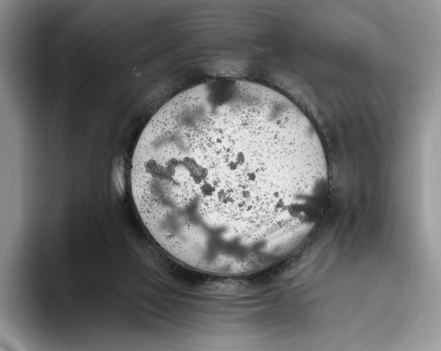 X0000093410069200711091406