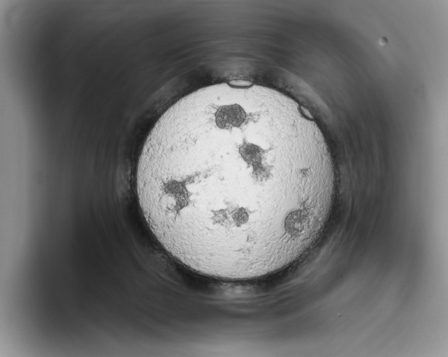 X0000093410073200711091407