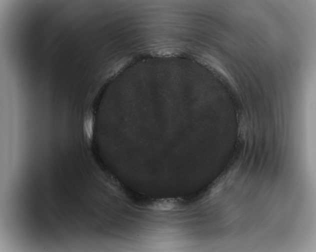 X0000093410076200711091407