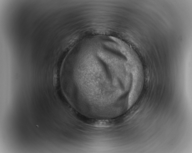 X0000093410080200711091407