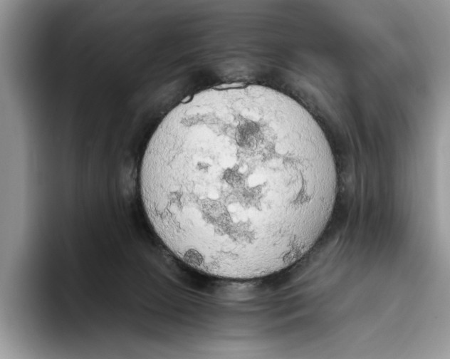 X0000093410081200711091407