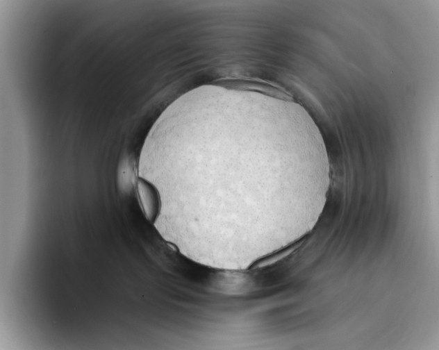 X0000093410095200711091407