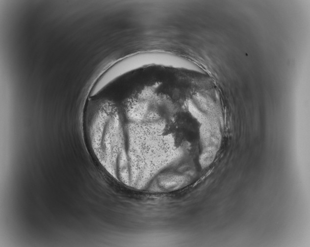 X0000093410099200711091406