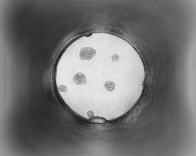 X0000093410103200711091406