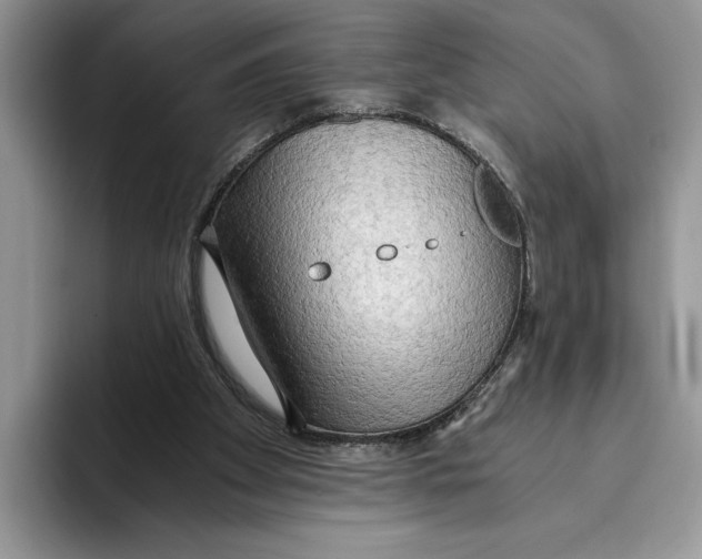 X0000093410105200711091406