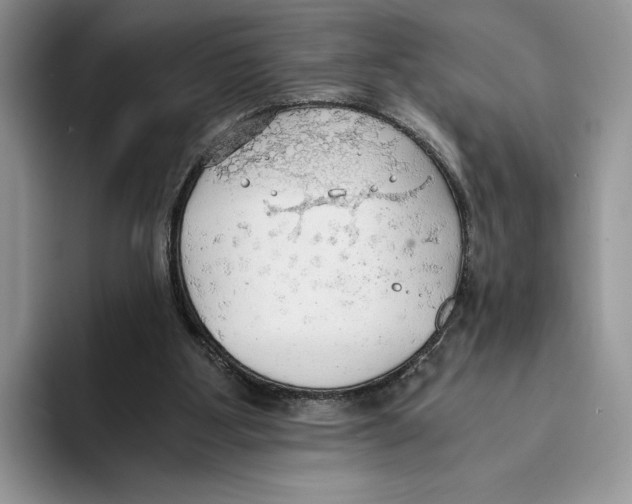 X0000093410107200711091406