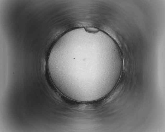 X0000093410109200711091406