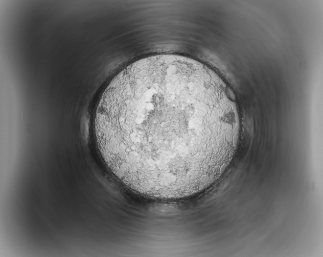 X0000093410110200711091406