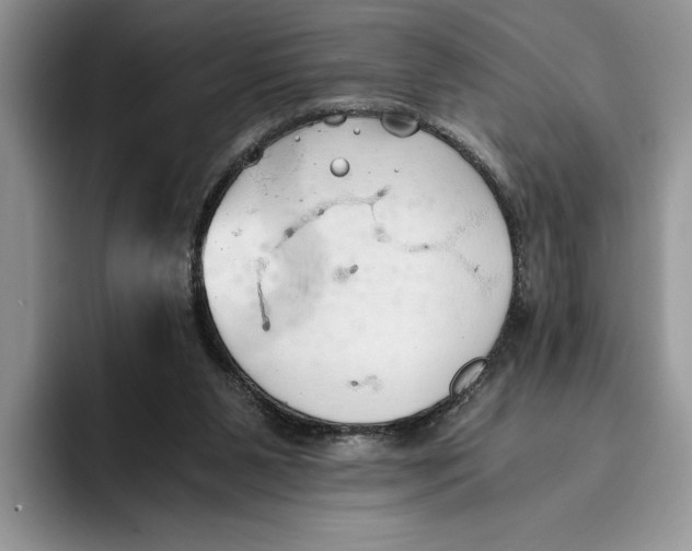 X0000093410111200711091406