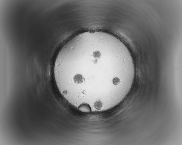 X0000093410115200711091406