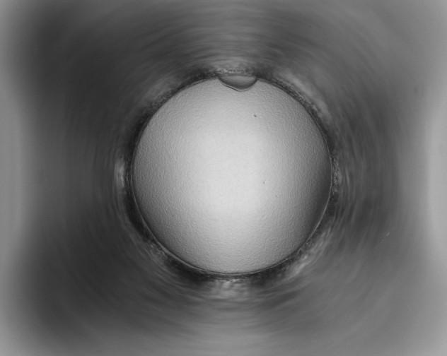 X0000093410117200711091406