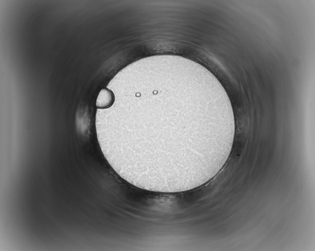 X0000093410124200711091406