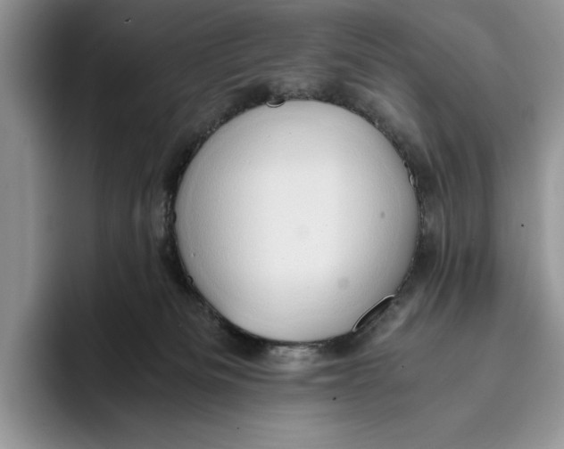 X0000093410133200711091406