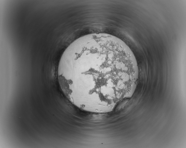 X0000093410134200711091406