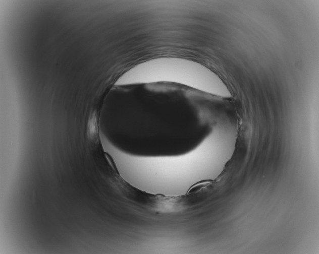 X0000093410143200711091406