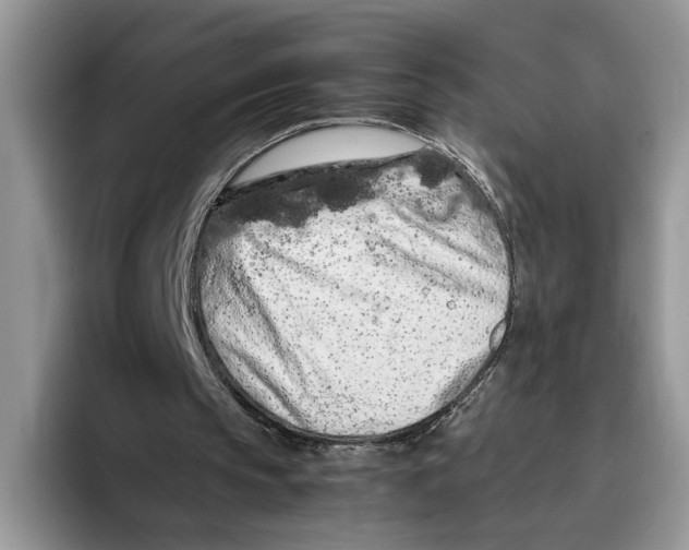 X0000093410145200711091405