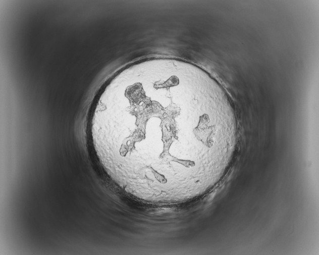 X0000093410151200711091405