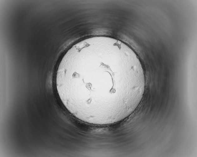 X0000093410155200711091405