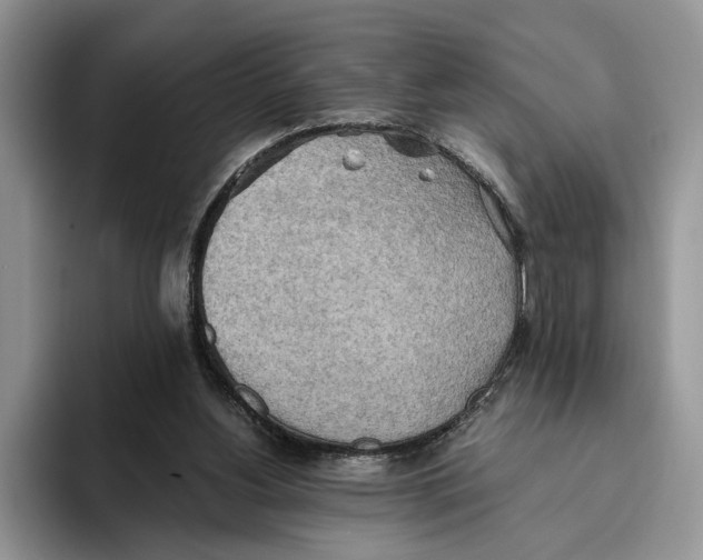 X0000093410156200711091405