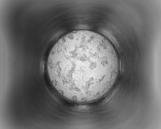 X0000093410157200711091405