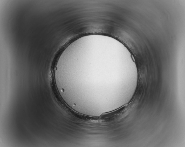 X0000093410160200711091405