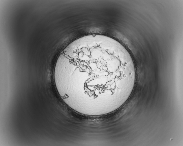 X0000093410161200711091405