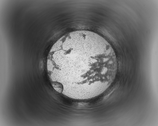 X0000093410165200711091405