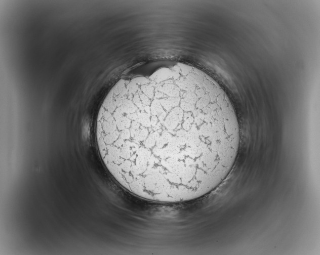 X0000093410166200711091405