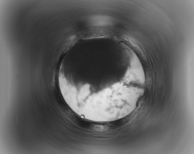 X0000093410167200711091405