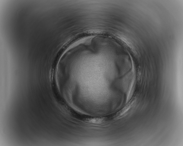 X0000093410168200711091405