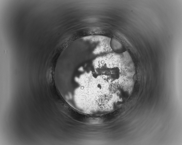 X0000093410169200711091405