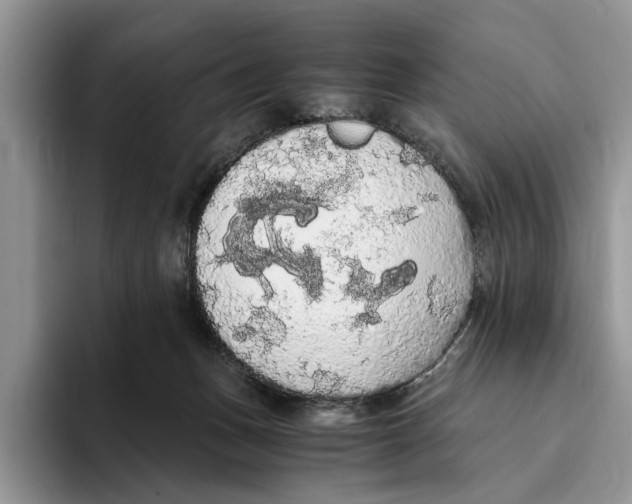 X0000093410175200711091405