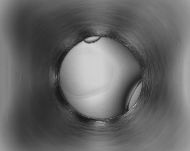 X0000093410176200711091405