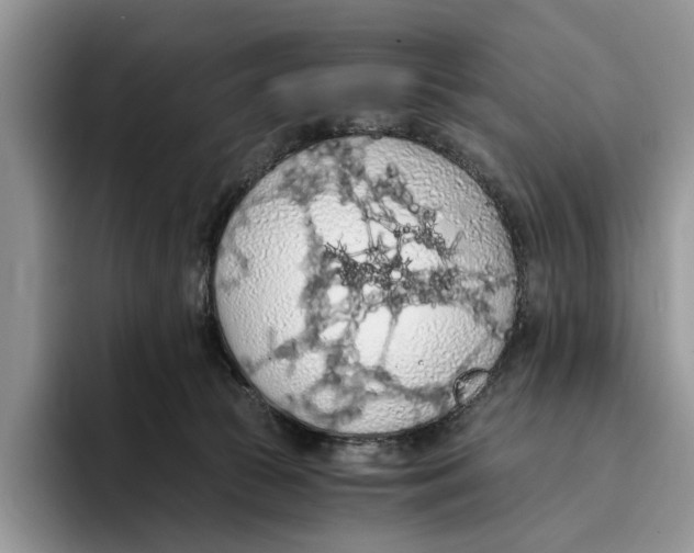 X0000093410177200711091405