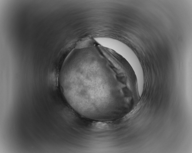 X0000093410180200711091406