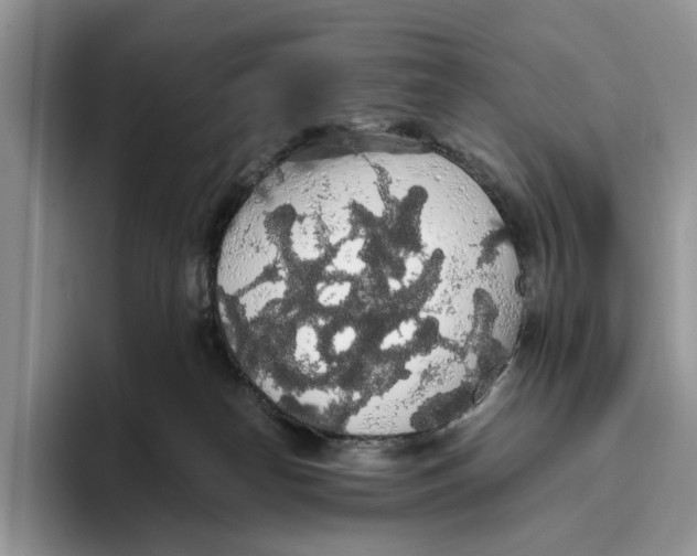 X0000093410182200711091406