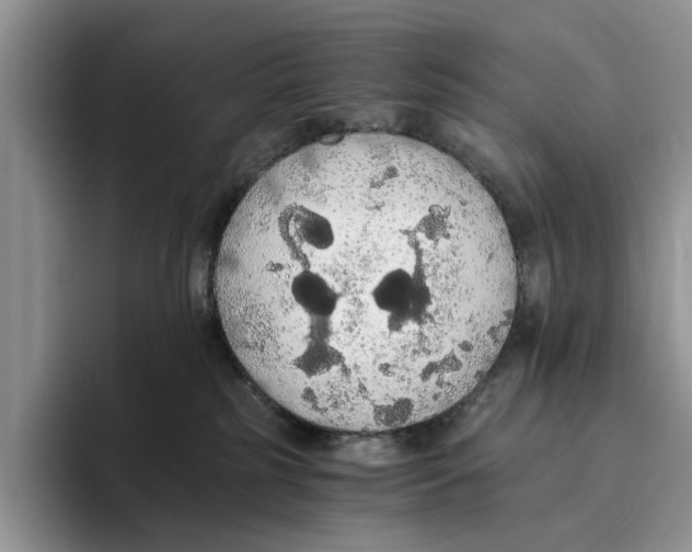 X0000093410185200711091406