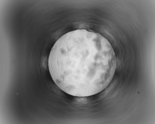 X0000093410189200711091406