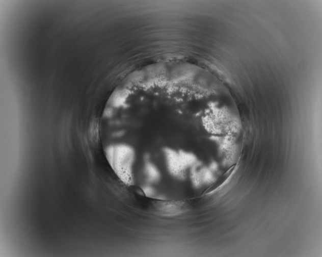 X0000093410191200711091406