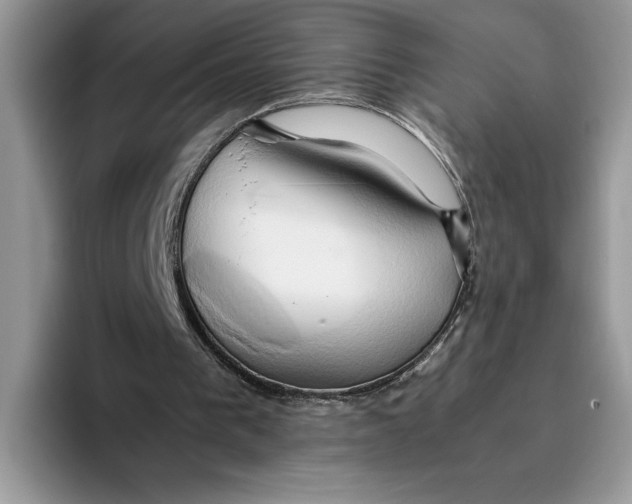 X0000093410193200711091405