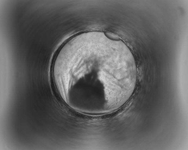 X0000093410196200711091405