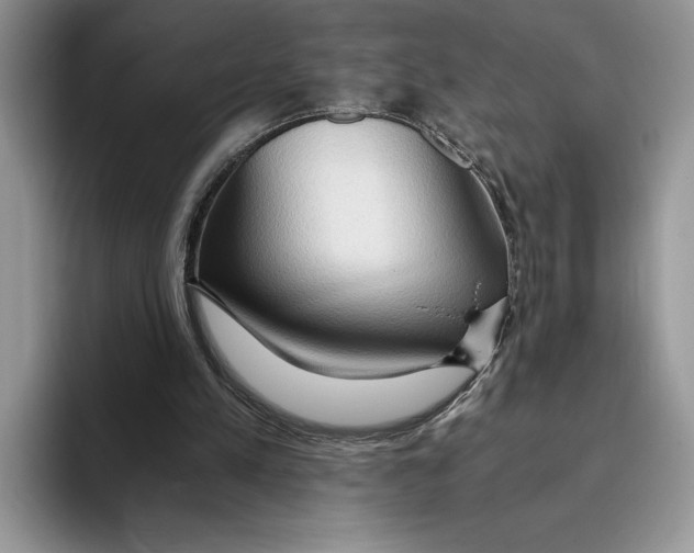 X0000093410197200711091405