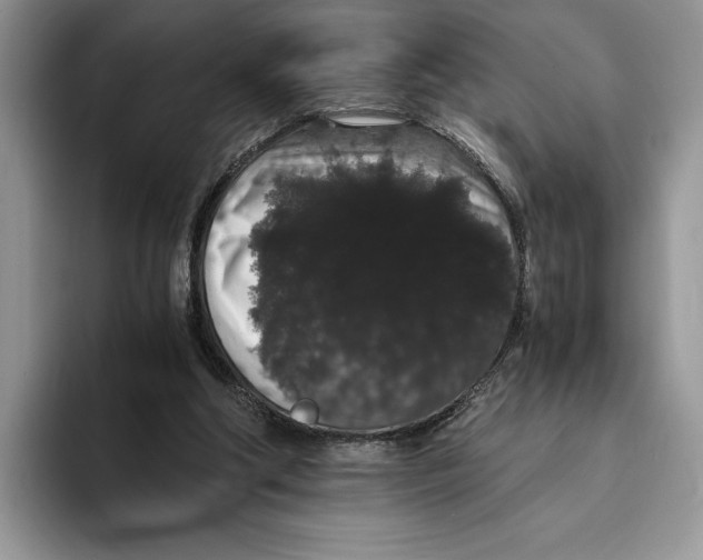 X0000093410202200711091405