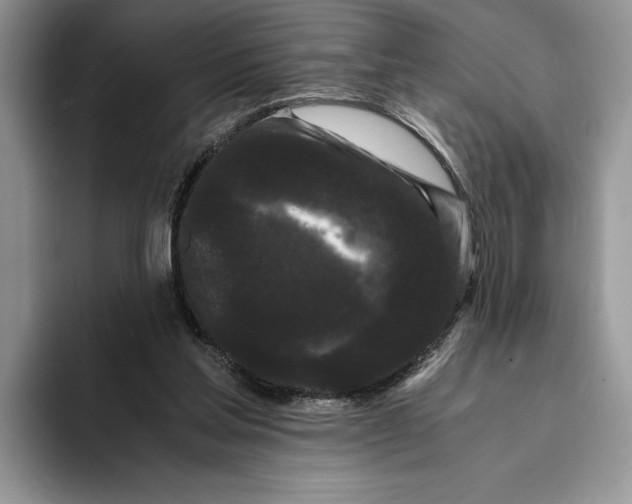 X0000093410205200711091405