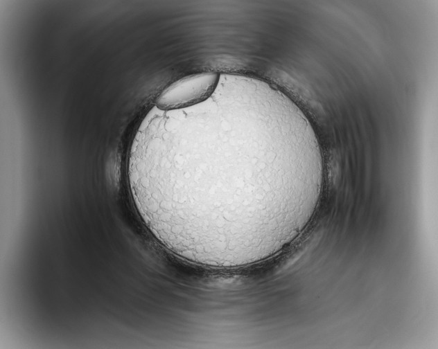 X0000093410206200711091405