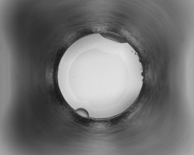 X0000093410209200711091405