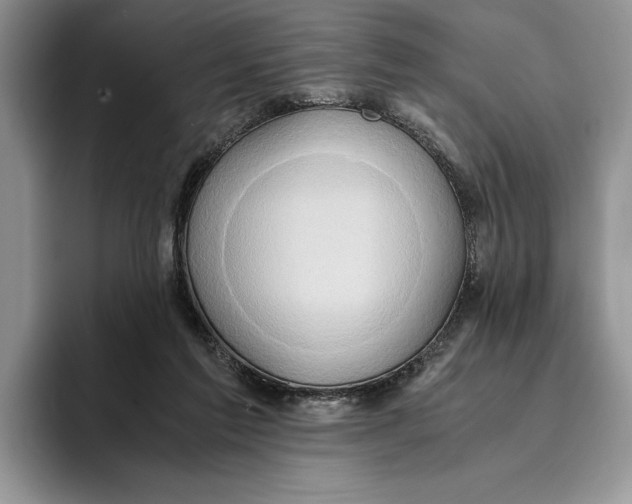 X0000093410213200711091405