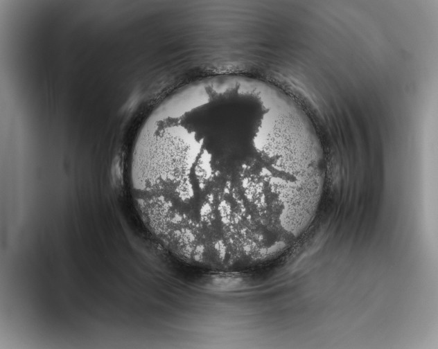 X0000093410214200711091405